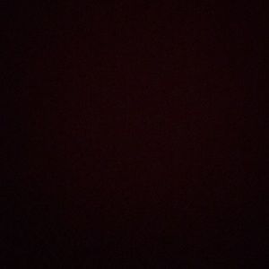 Meet your Posher, Dorie